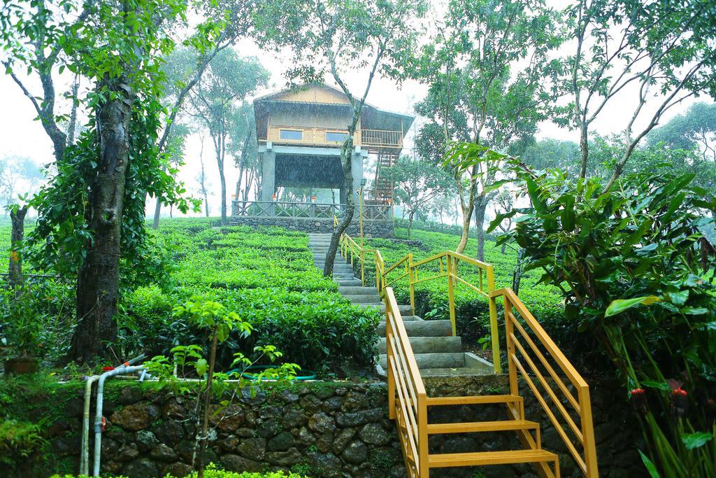 Holiday Vagamon Phòng bức ảnh